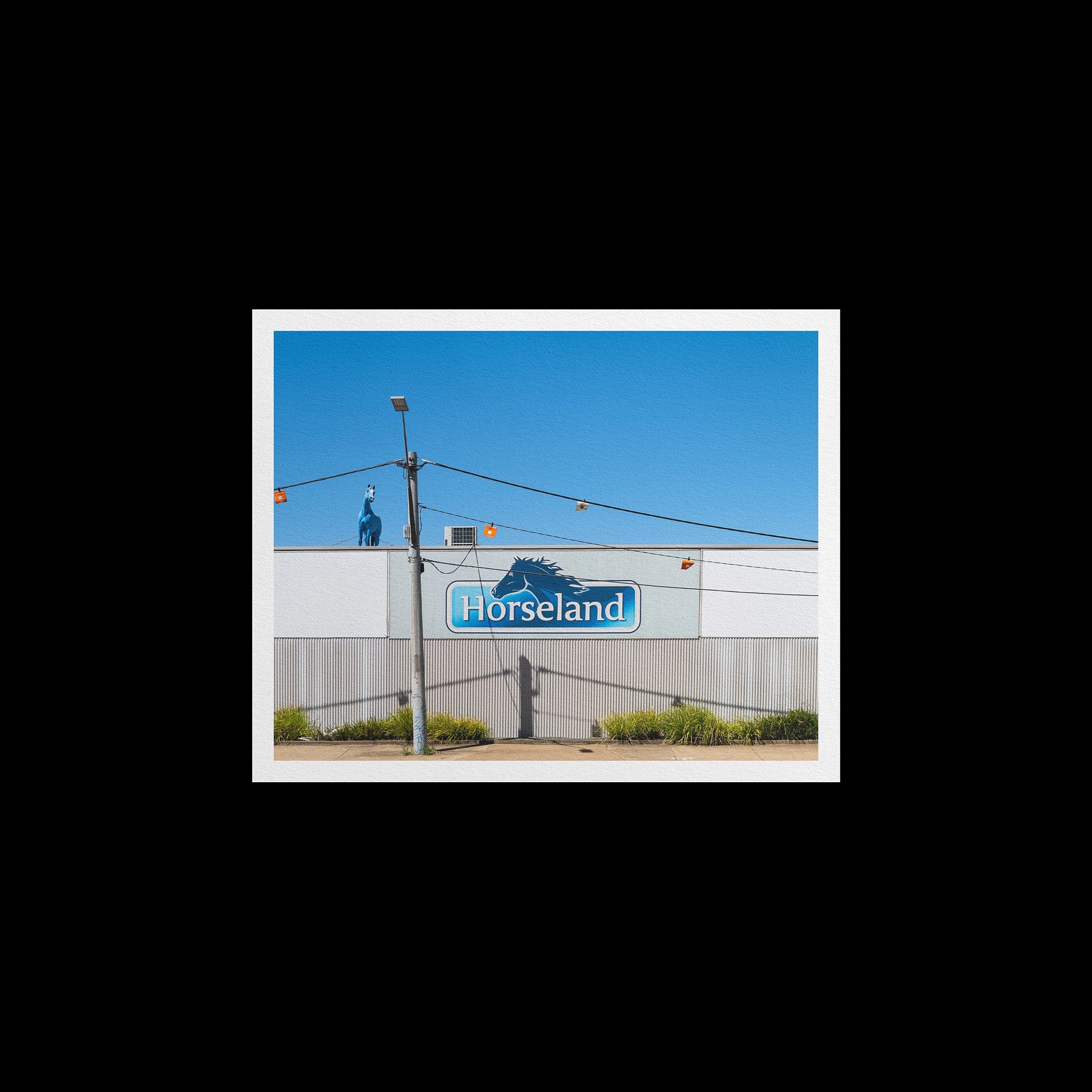 4x5 Ratio - Fine Art Print