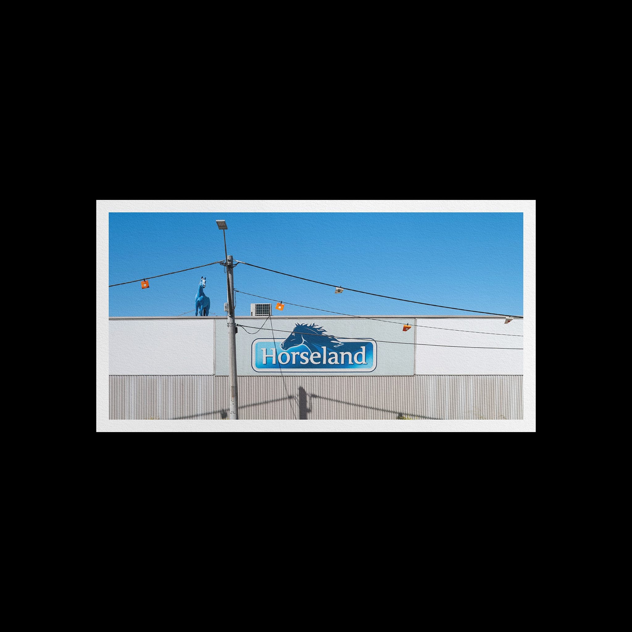 Custom Size - Fine Art Print